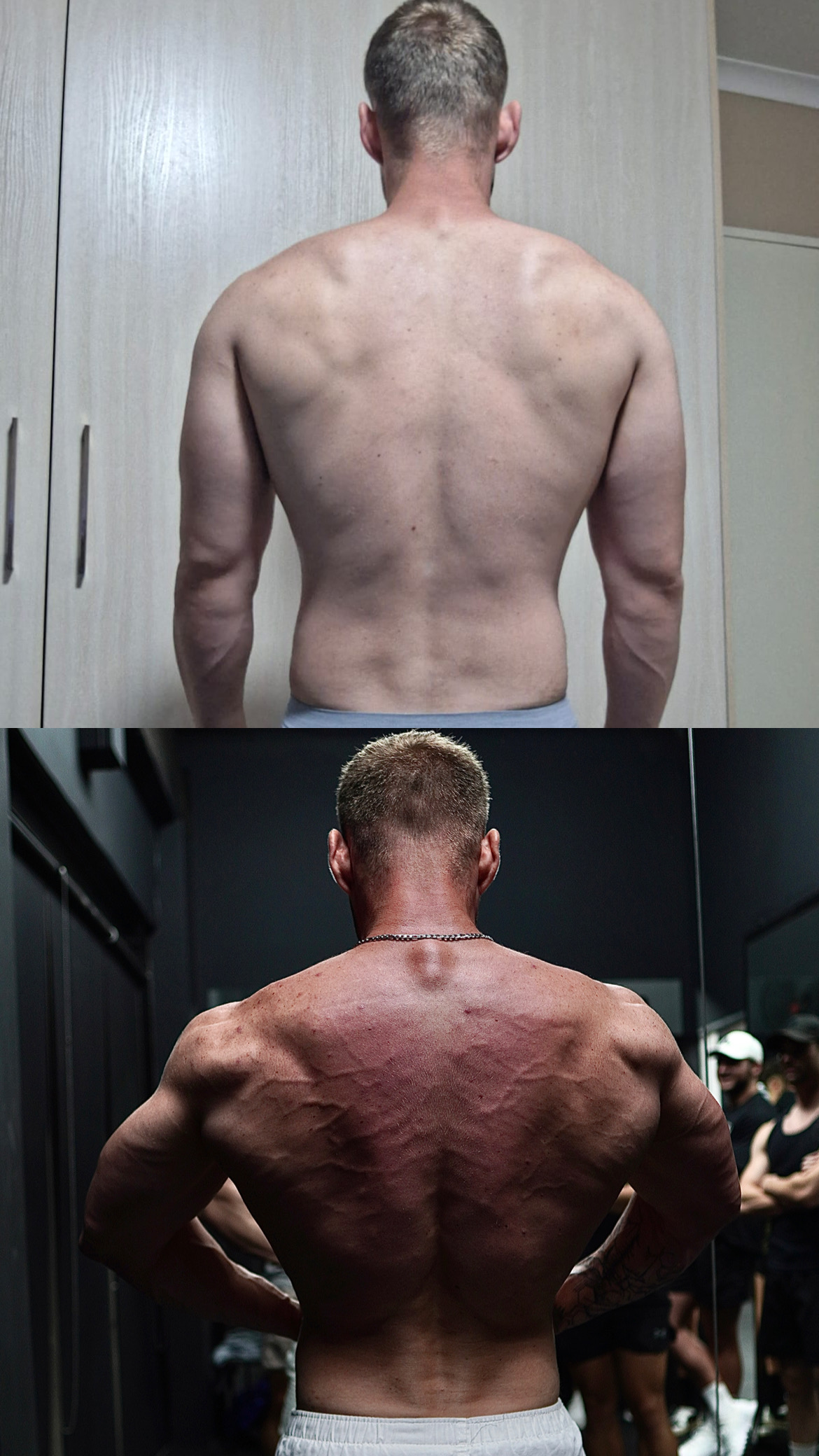 Client transformation — 12 weeks · back development