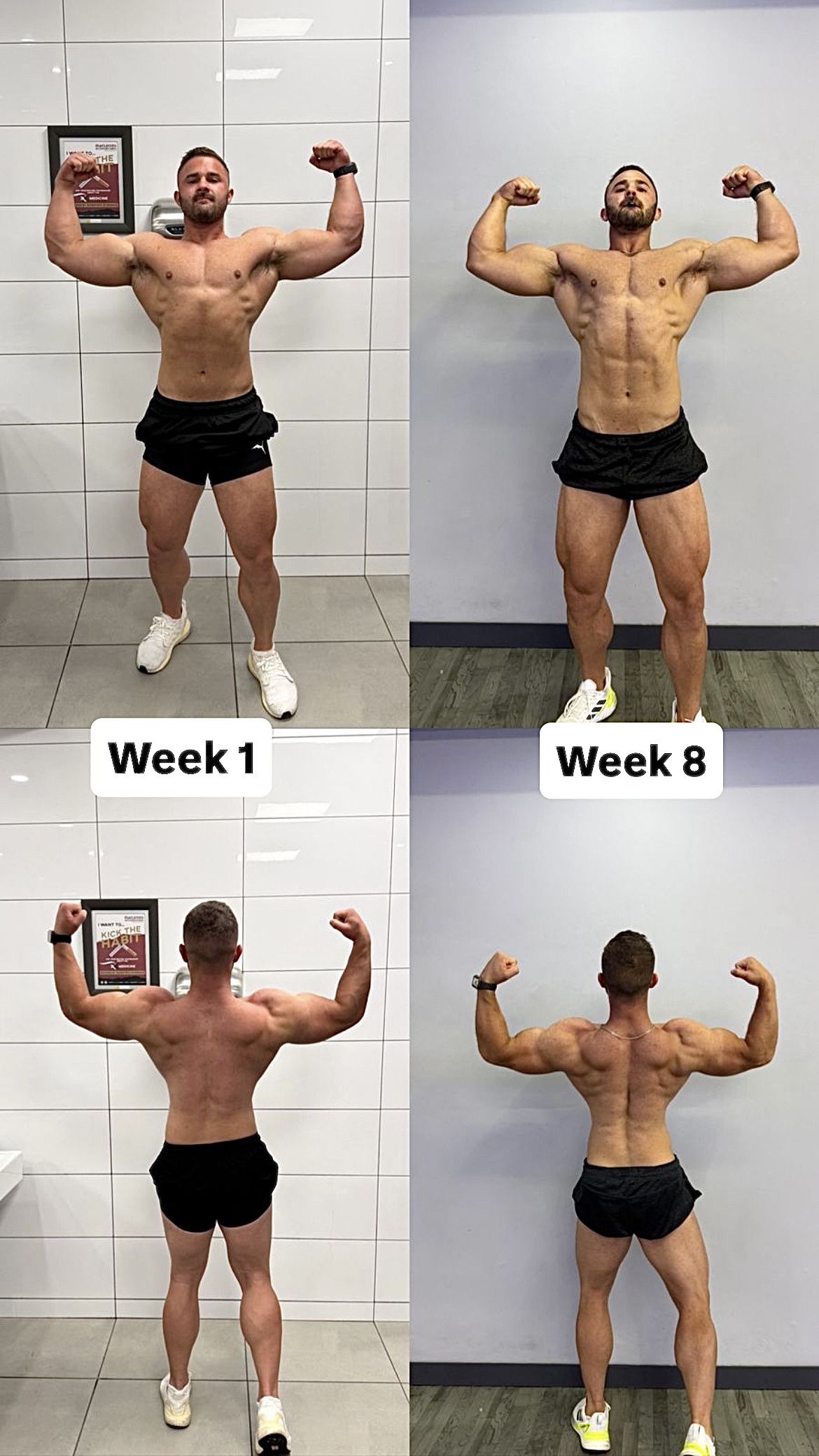 Client transformation — 8 weeks · cut phase