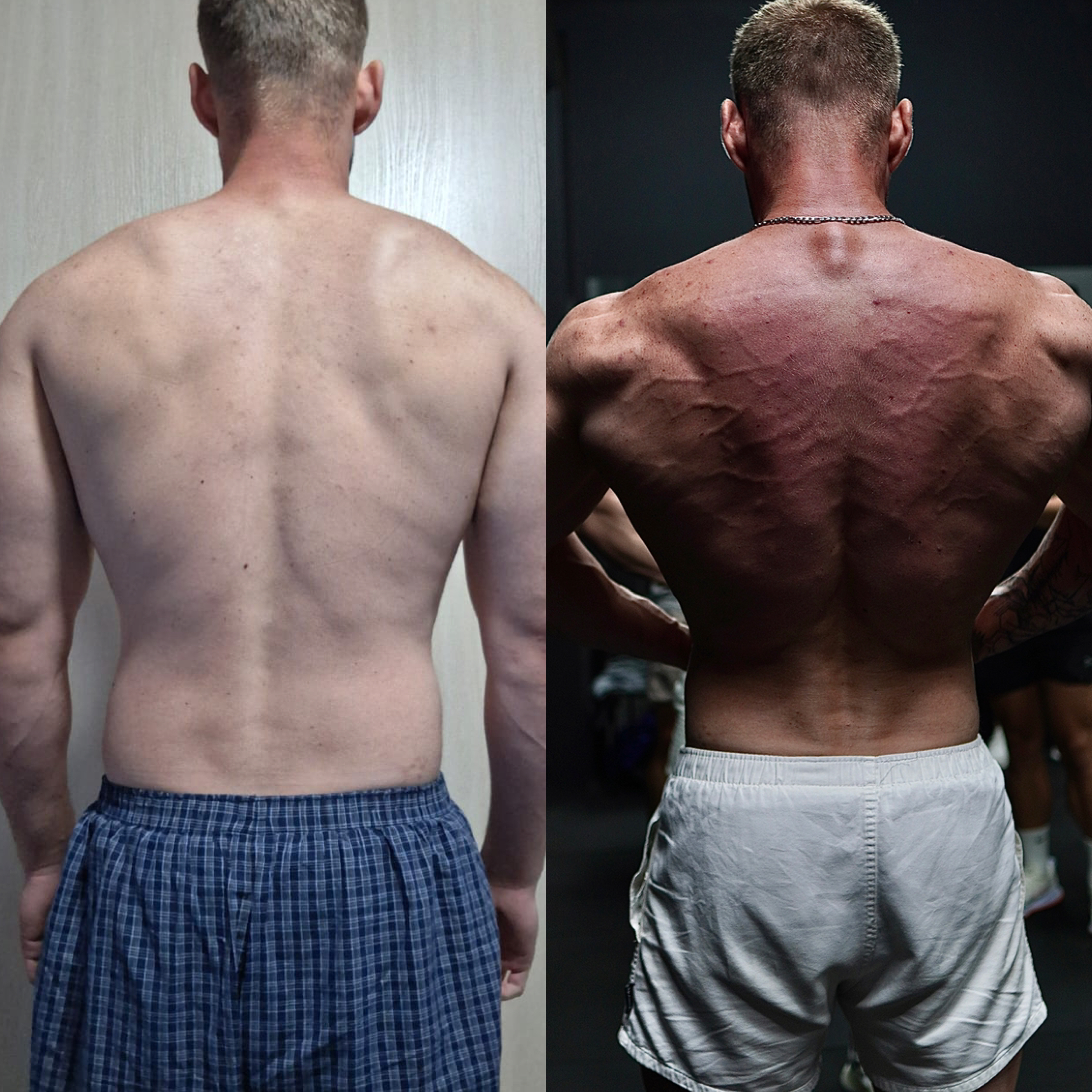 Client transformation — 12 weeks · transformation